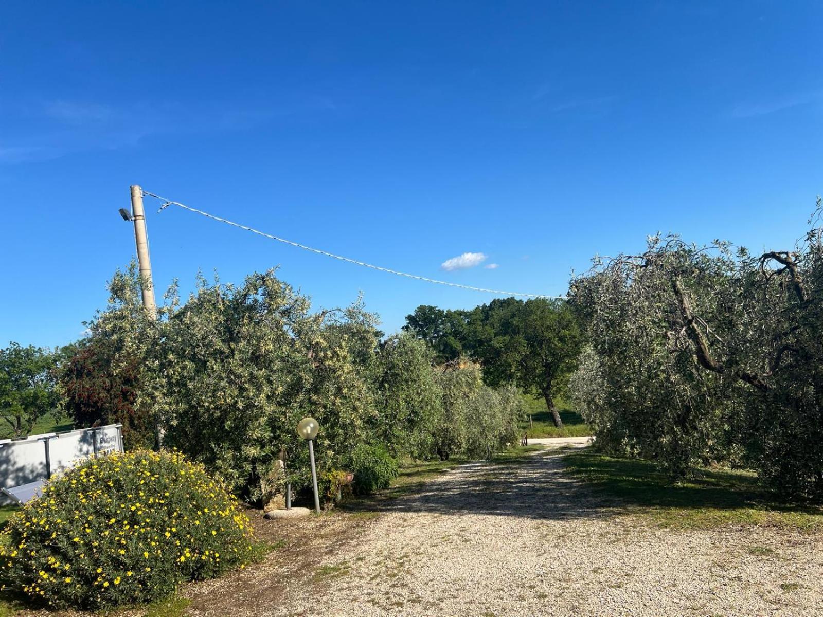 Agriturismo La Castellina Saturnia Bagian luar foto